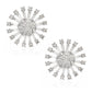 花柄 ラウンドダイヤモンド ピアス PT900 1.4ct 画像
