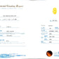 イエローダイヤモンドネックレス鑑定書画像 オーバル 0.625ct VS2 詳細